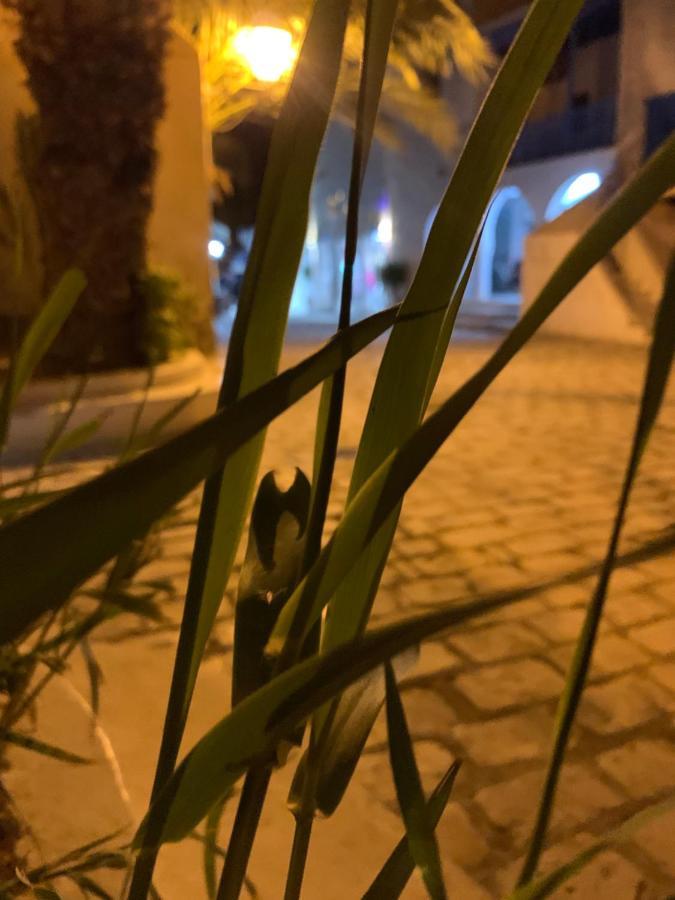 Bed and Breakfast Dar Lola Djerba Houmt El Souk Exterior foto